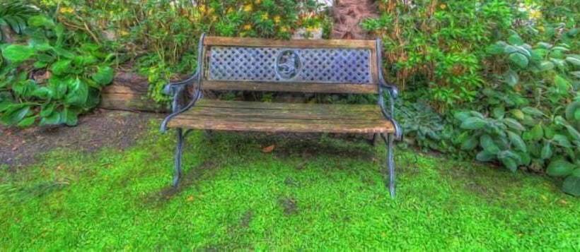 酒店 Armour Motor Inn