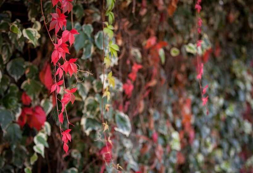 酒店 Armour Motor Inn