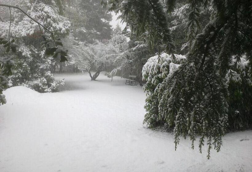 בית מלון כפרי Blackheath Motor Inn