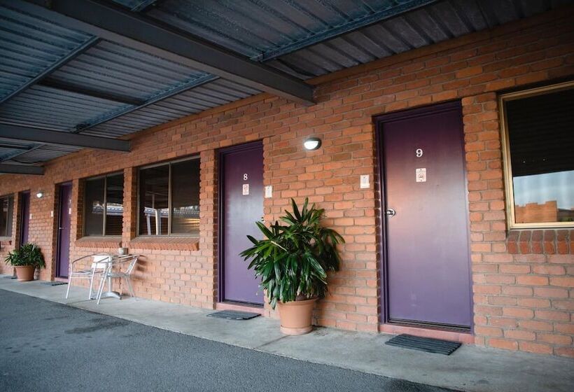 酒店 Castle Motor Lodge