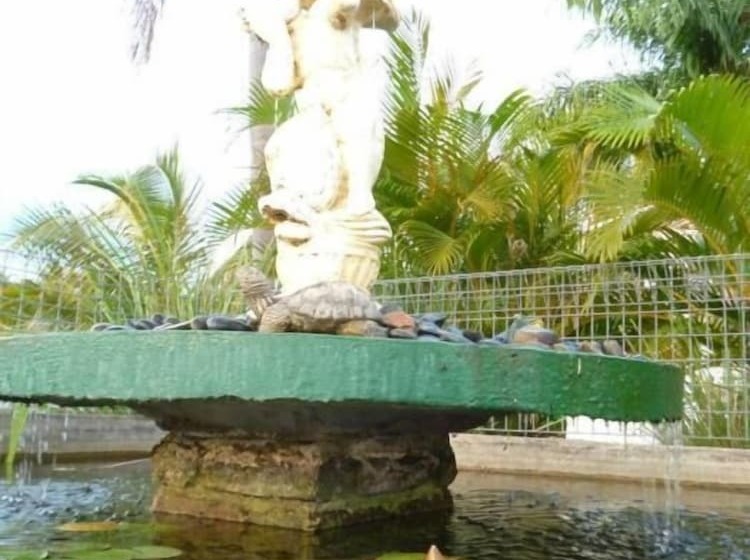 酒店 Castle Motor Lodge