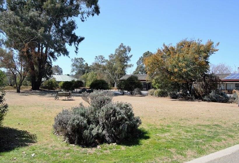 هتل Civic Motor Inn