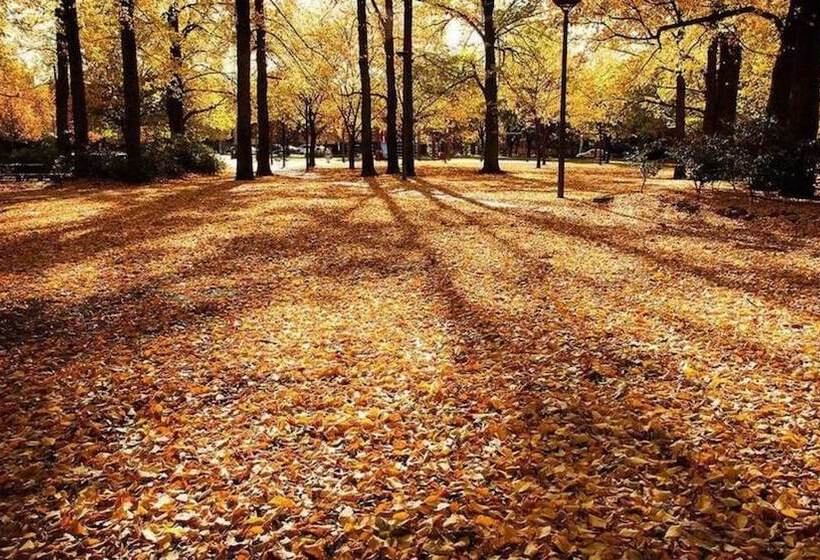 酒店 Crowne Plaza Canberra, An Ihg