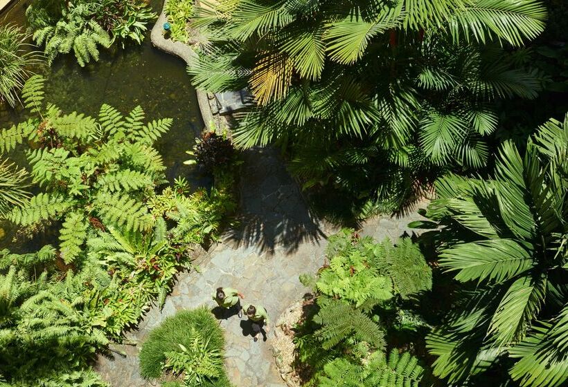 Doubletree By Hilton Hotel Cairns