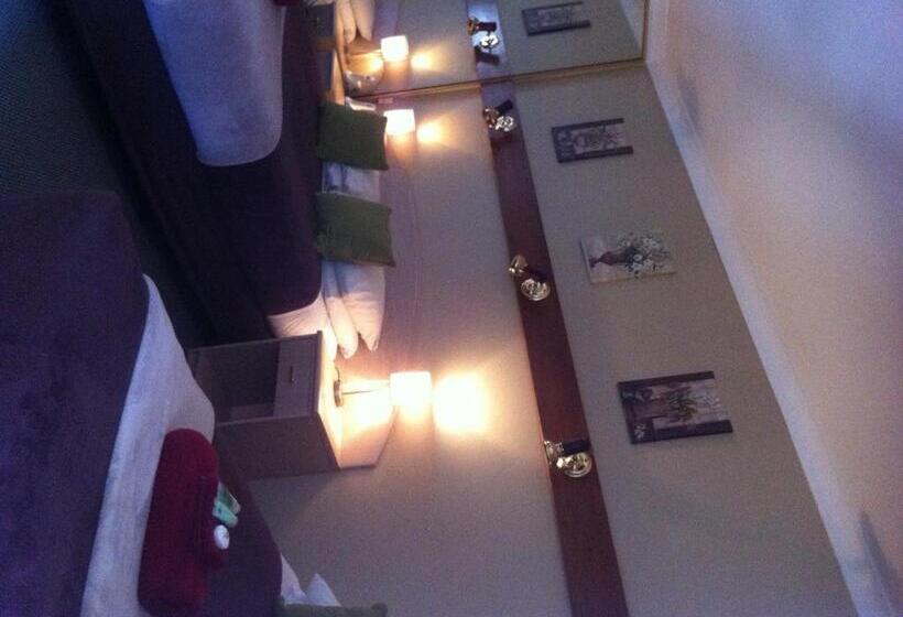 فندق Elsinor Motor Lodge