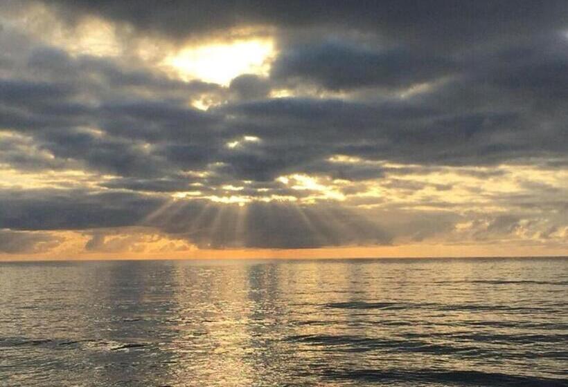 ホテル Lazy Lizard Motor Inn