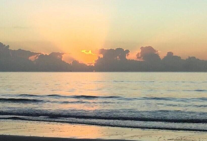 ホテル Lazy Lizard Motor Inn