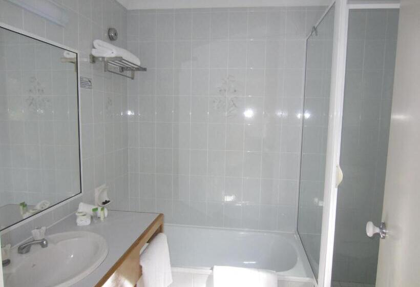 ホテル Lazy Lizard Motor Inn