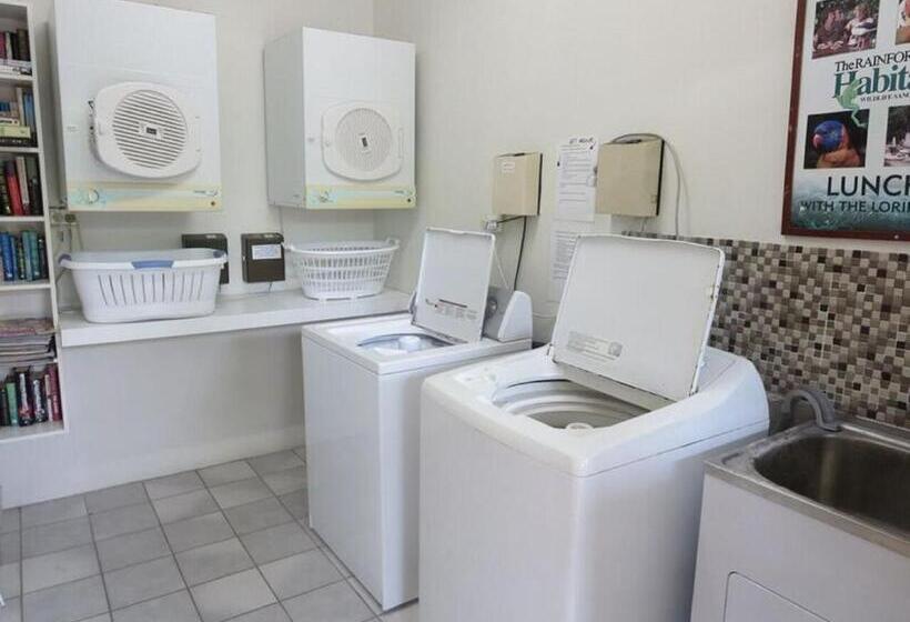 ホテル Lazy Lizard Motor Inn