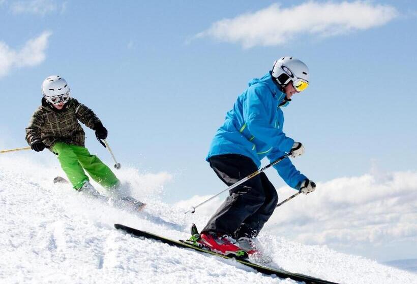 בית מלון כפרי Man From Snowy River