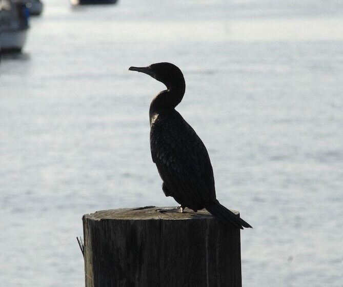 ホテル Mariners On The Waterfront