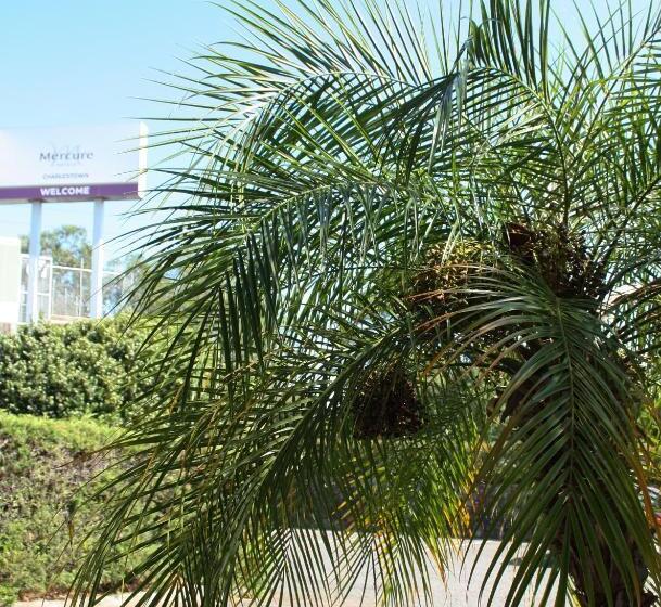 בית מלון כפרי Mercure Charlestown