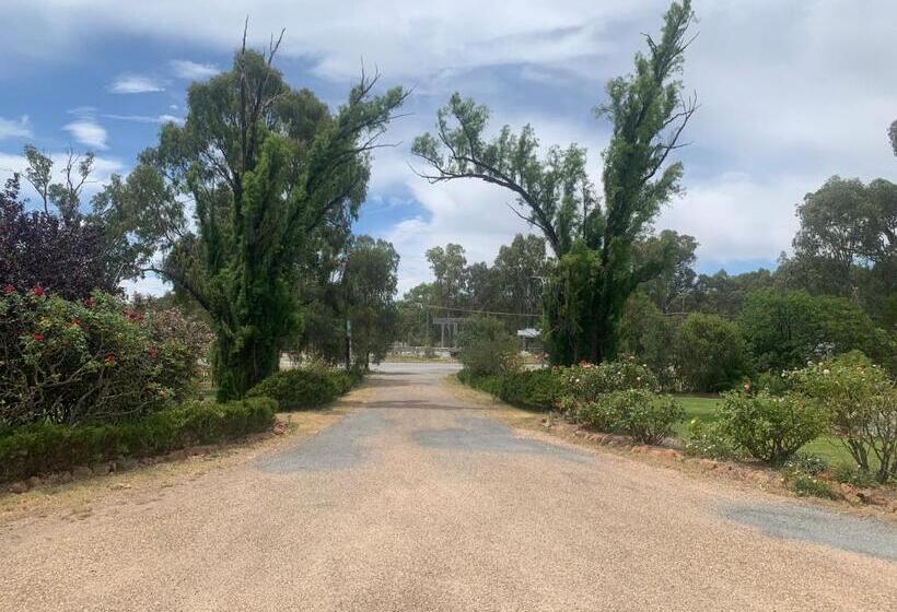 בית מלון כפרי Newell Motor Inn Narrandera