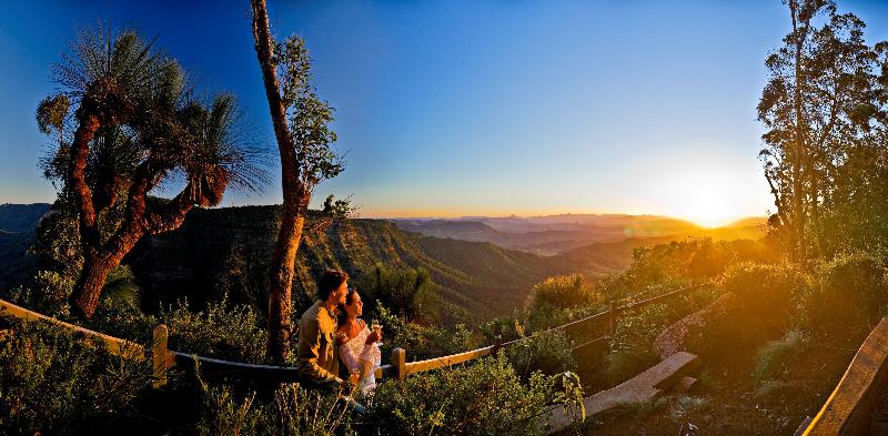 فندق Oreillys Rainforest Retreat