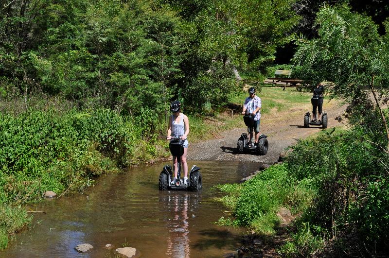 فندق Oreillys Rainforest Retreat