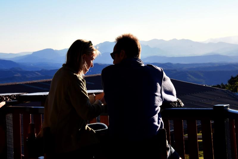 فندق Oreillys Rainforest Retreat