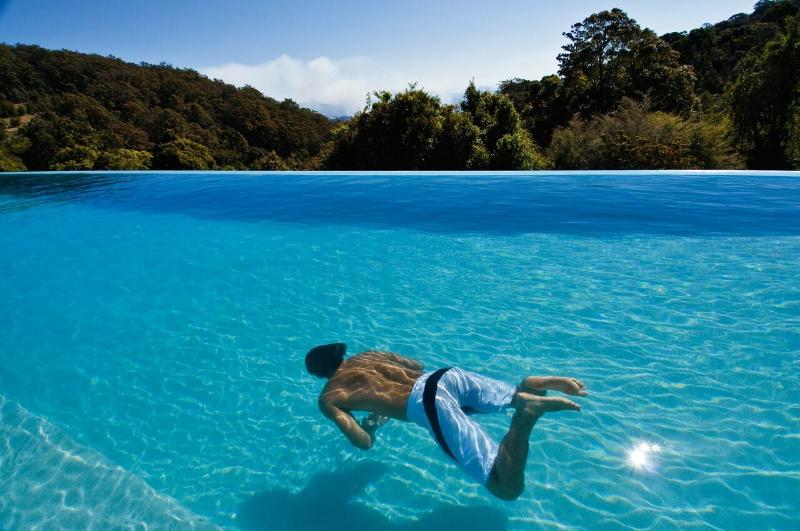 فندق Oreillys Rainforest Retreat