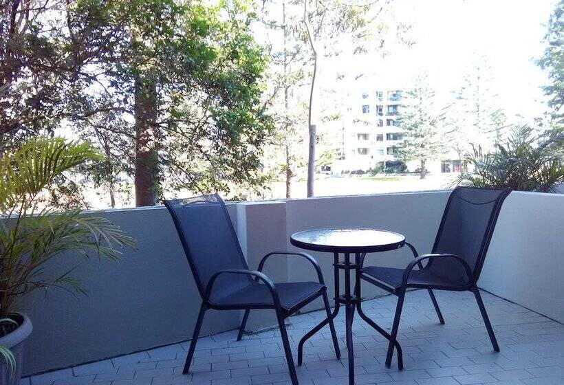 Отель Palm Court Motor Inn