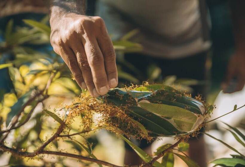 בית מלון כפרי Shangrila The Marina, Cairns