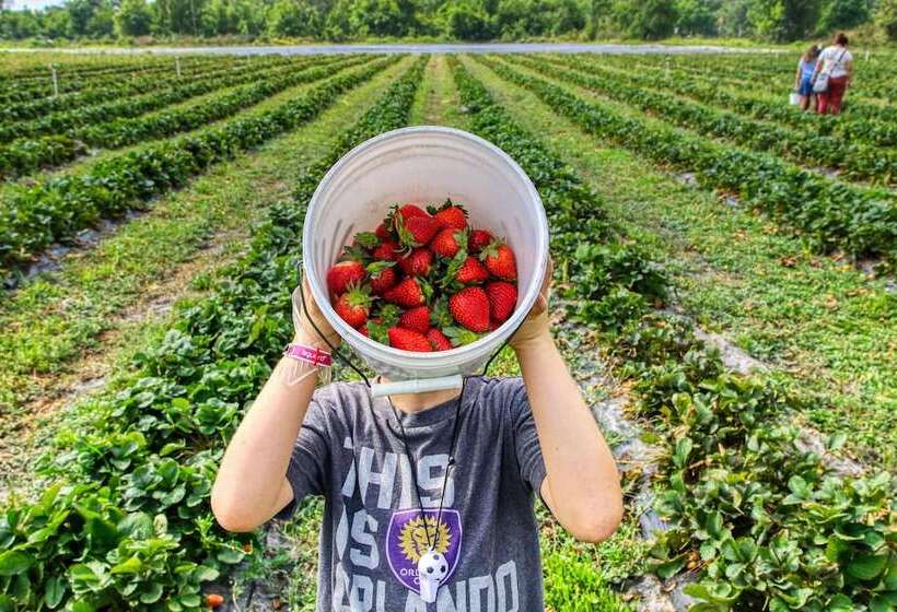 בית מלון כפרי Shangrila The Marina, Cairns