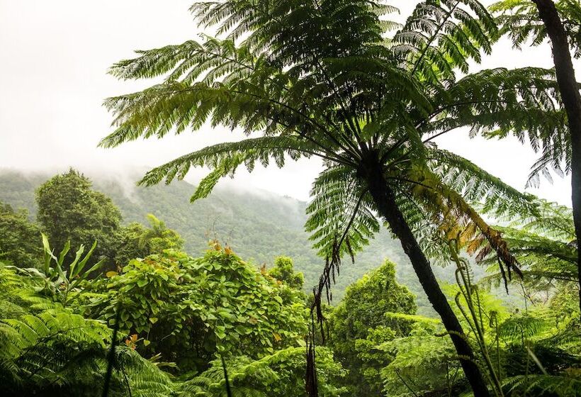 בית מלון כפרי Shangrila The Marina, Cairns