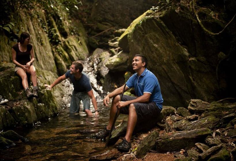 ホテル Silky Oaks Lodge