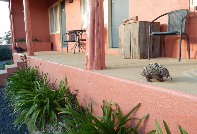 בית מלון כפרי Swansea Motor Inn Tasmania