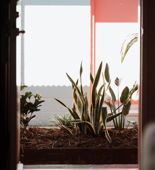 فندق The Continental