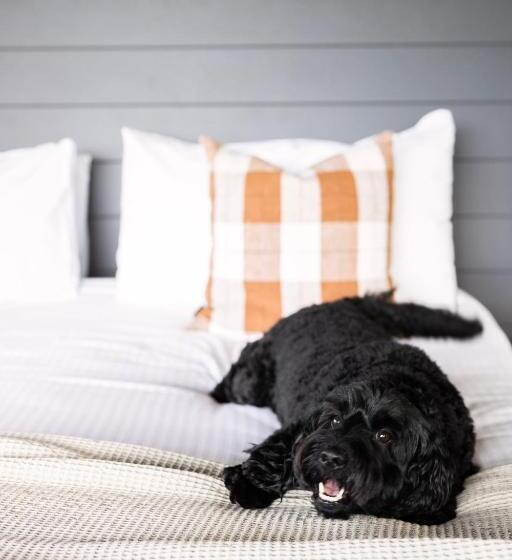 בית מלון כפרי The Lodge Bellingen