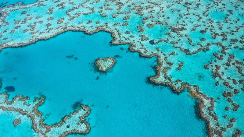 منتجع Intercontinental Hayman Great Barrier Reef