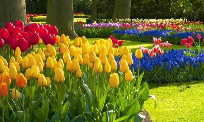 Milton Park Country House Hotel & Spa