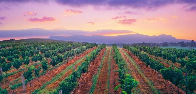 מוטל Cumberland Motor Inn