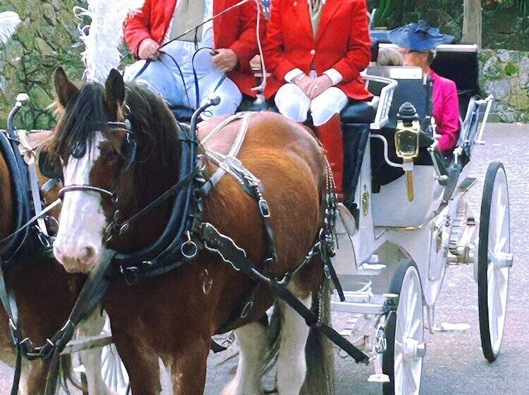 فندق على الطريق Eltham Gateway Hotel & Conference Centre