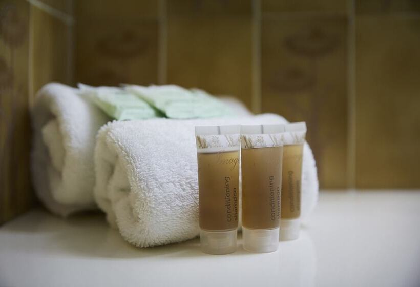 汽车旅馆 Windsor Lodge