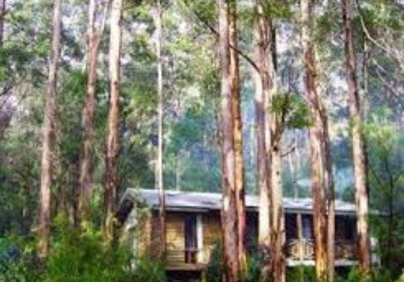 Rac Karri Valley Resort