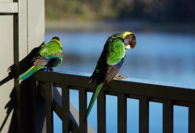 Rac Karri Valley Resort