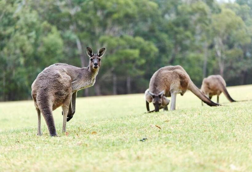 Rac Karri Valley Resort
