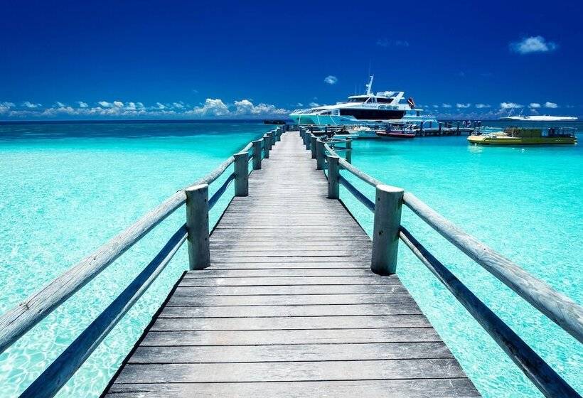 리조트 Heron Island