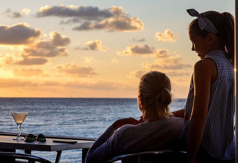 리조트 Heron Island