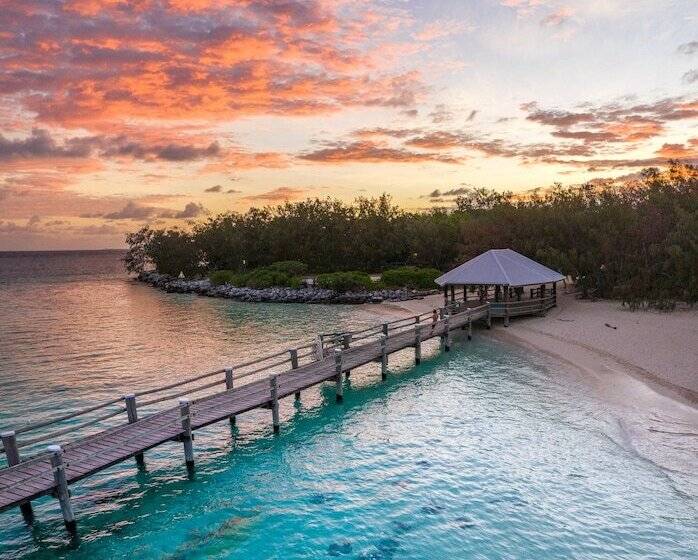 리조트 Heron Island