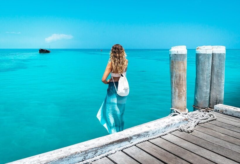 리조트 Heron Island