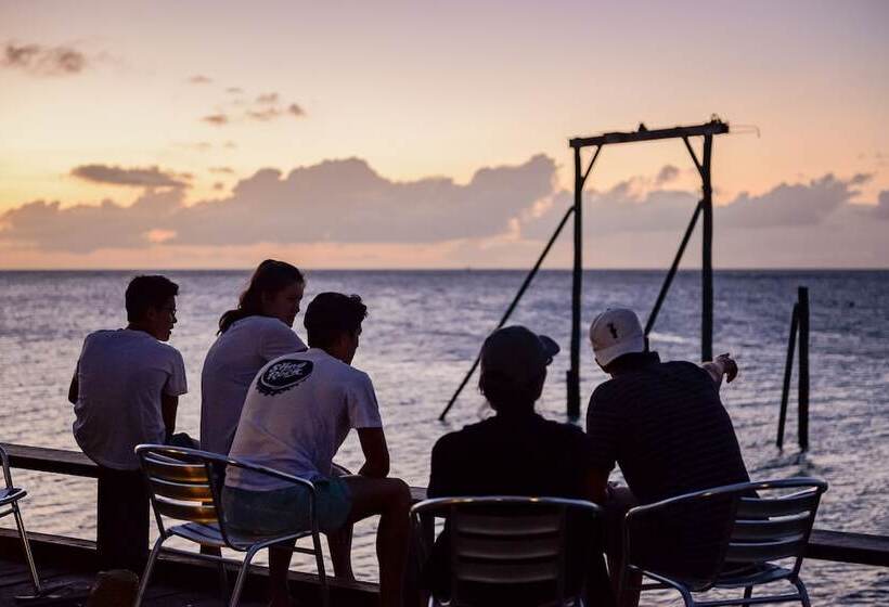 리조트 Heron Island