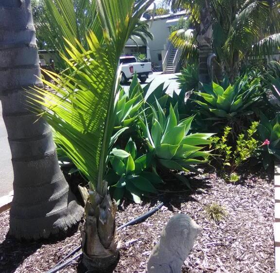 Seahorse Motel Cowes