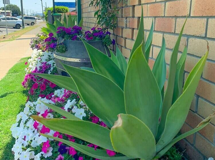 Squatters Homestead Motel