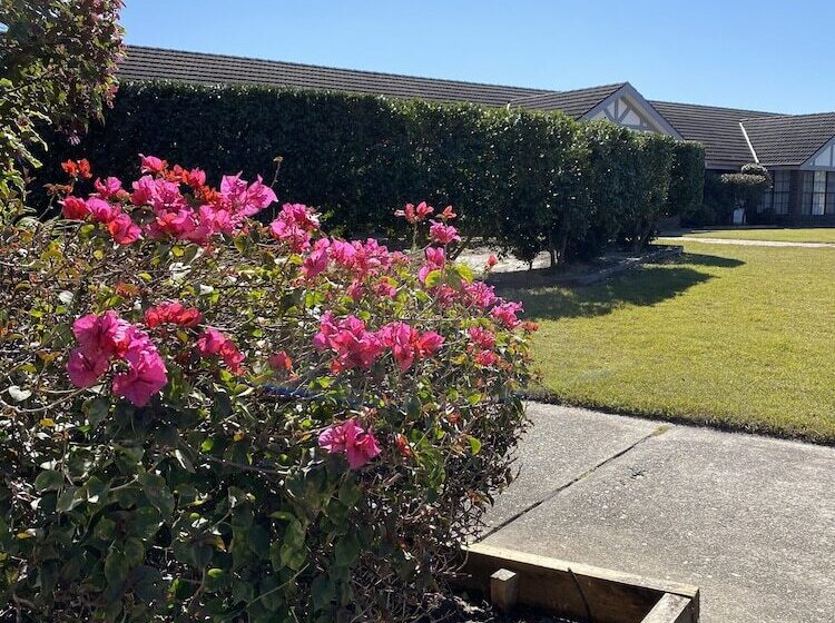 هتل Sir Francis Drake