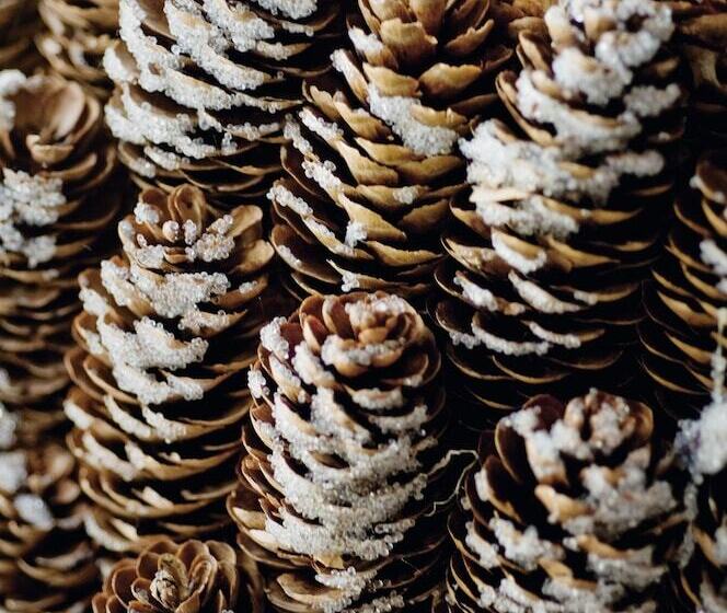 Eurotel Lanaken   Different Hotels