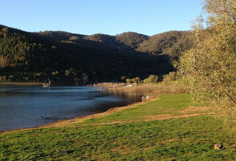 בית מלון כפרי Airlie House Motor Inn