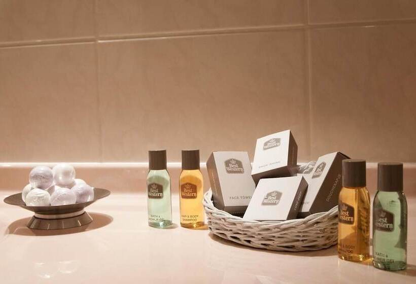 בית מלון כפרי Ambassador Bosten