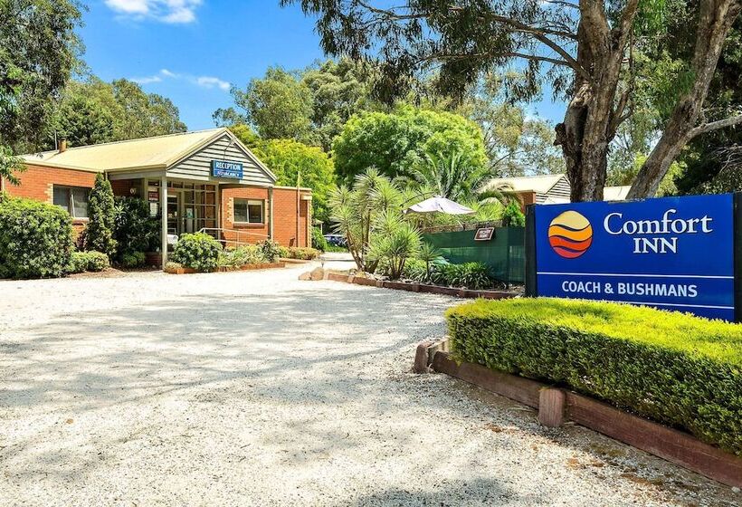 בית מלון כפרי Comfort Inn Coach & Bushmans