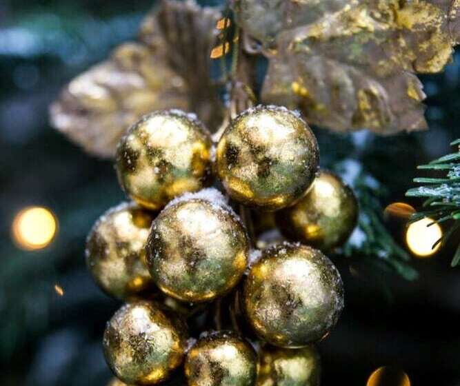 De Orangerie By Cw Hotel Collection